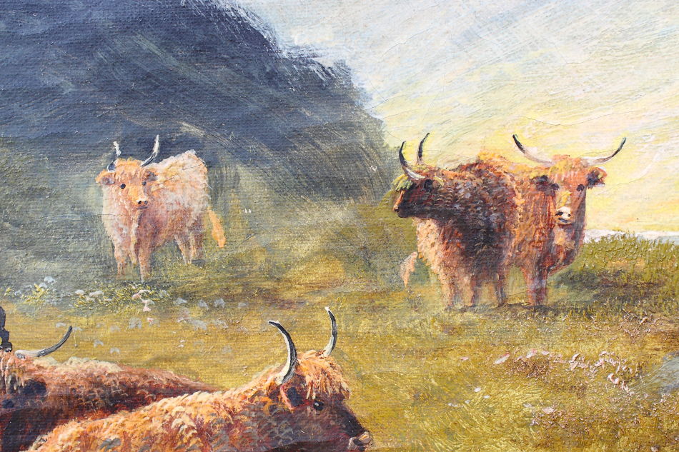 Highland Cattle / Oil Painting