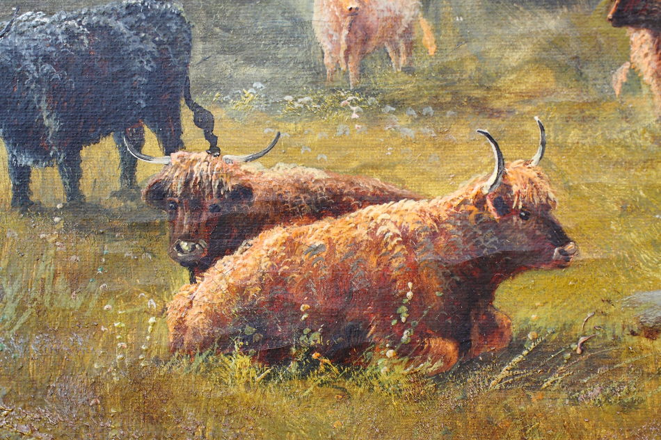 Highland Cattle / Oil Painting