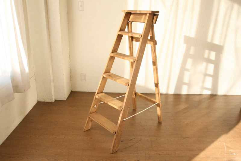 6ラングステップス