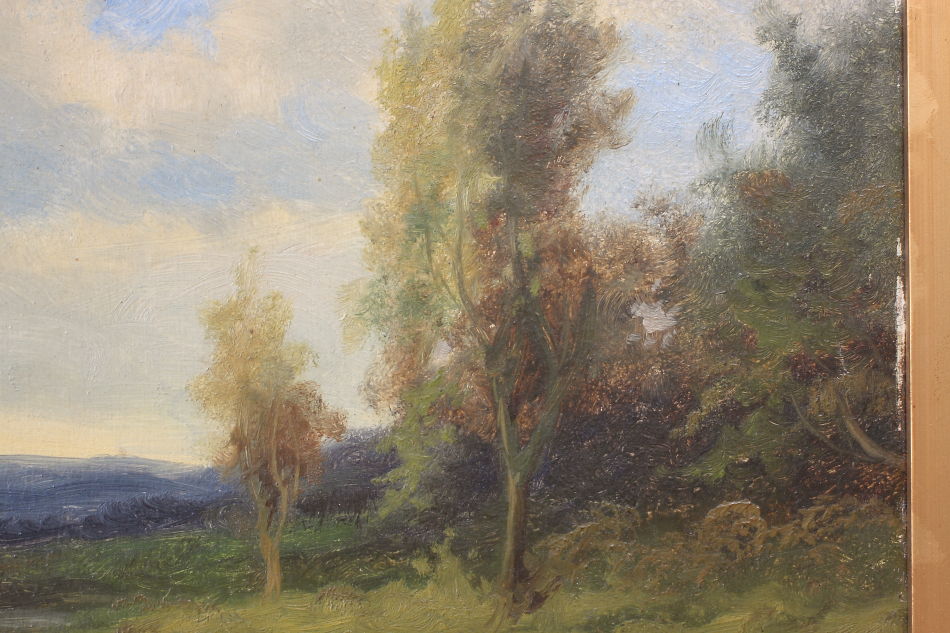A country cottage in woodland / Oil painting