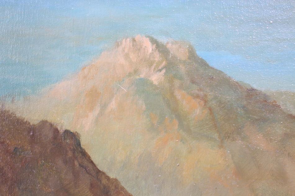A cottage beside a mountain stream/ Oil painting