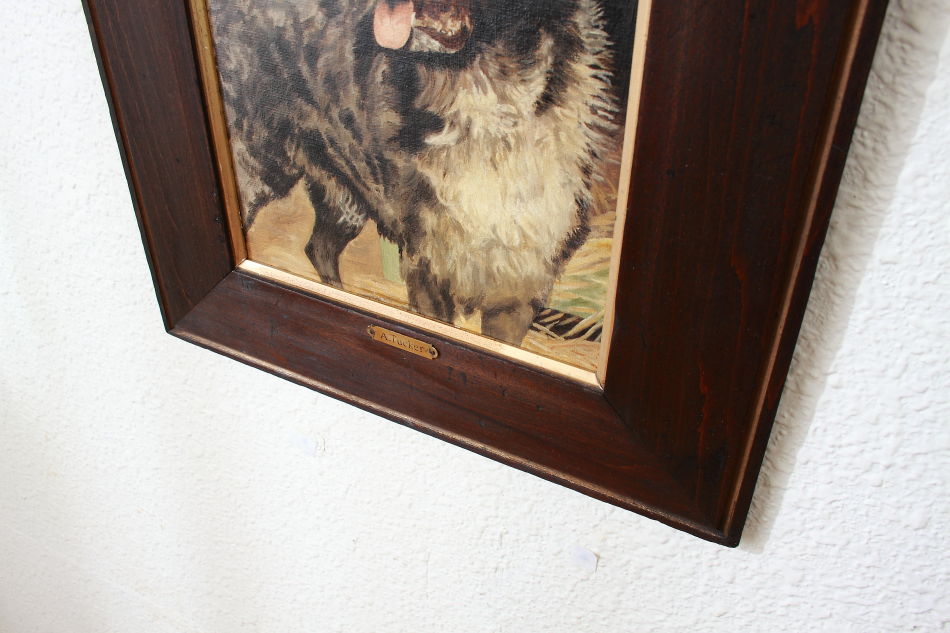 Victorian Portrait of a Dog / Oil painting