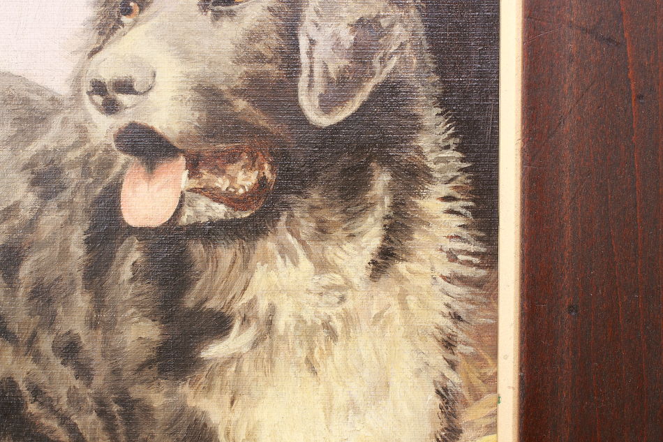 Victorian Portrait of a Dog / Oil painting