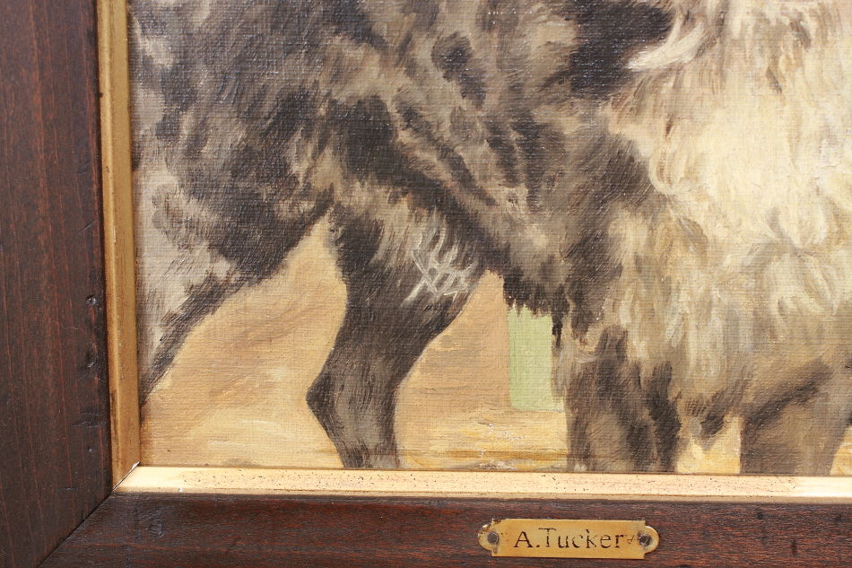 Victorian Portrait of a Dog / Oil painting
