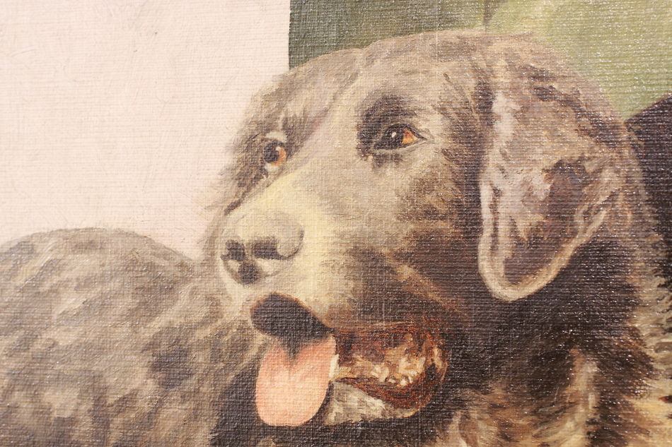 Victorian Portrait of a Dog / Oil painting