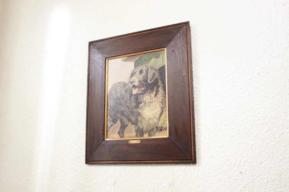 Victorian Portrait of a Dog / Oil painting