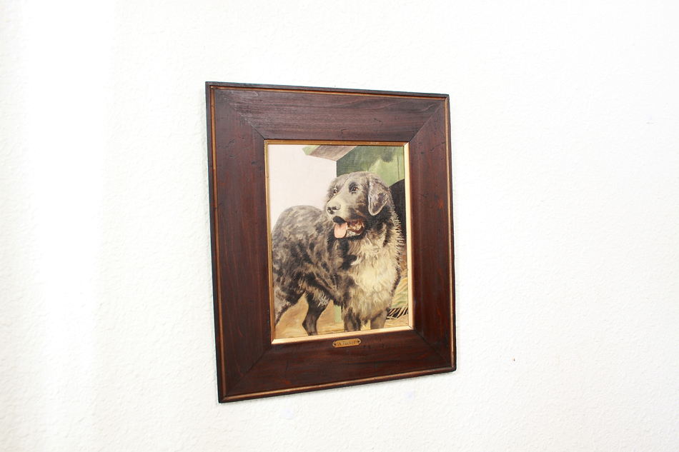 Victorian Portrait of a Dog / Oil painting