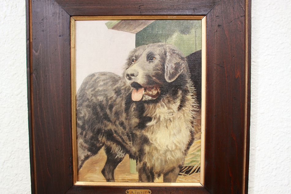 Victorian Portrait of a Dog / Oil painting