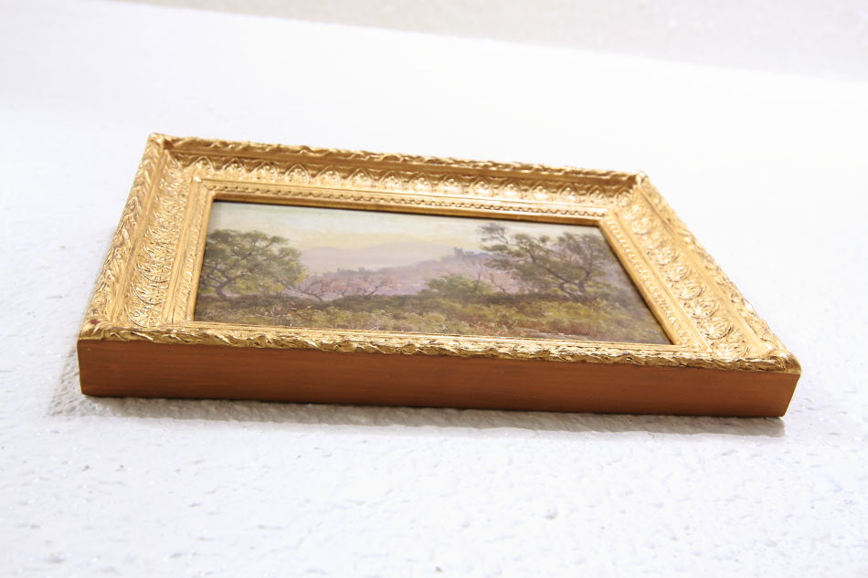 Hyeres, la ville et chateau / Oli Painting