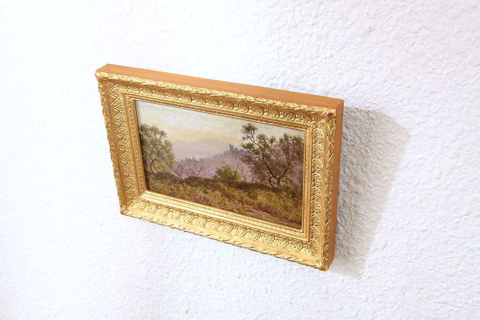 Hyeres, la ville et chateau / Oli Painting