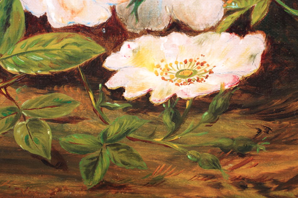 Daisies / Oil Pinting