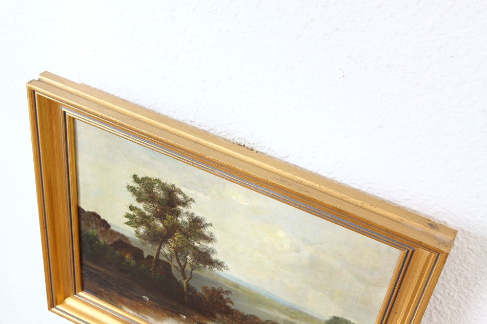 Landscape with waterfowles / Oil Painting