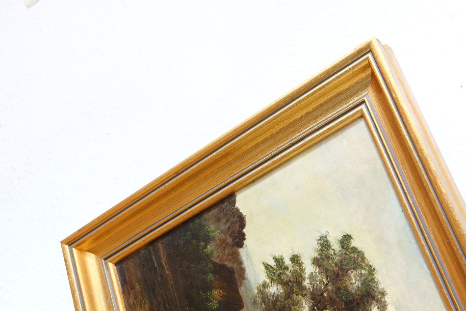 Landscape with waterfowles / Oil Painting