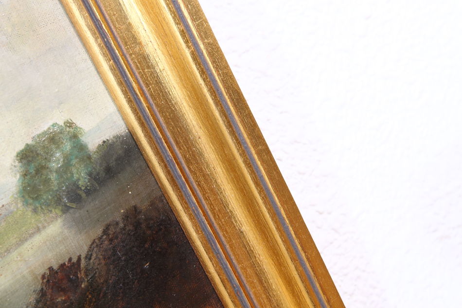 Landscape with waterfowles / Oil Painting
