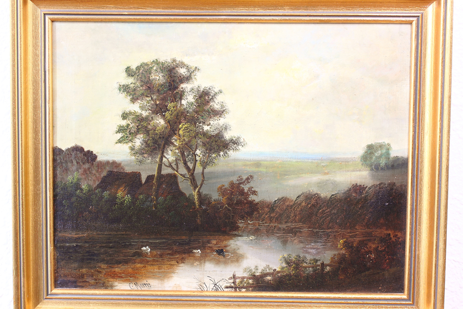 Landscape with waterfowles / Oil Painting