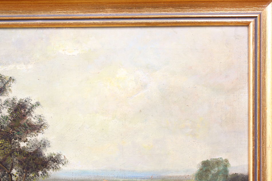 Landscape with waterfowles / Oil Painting