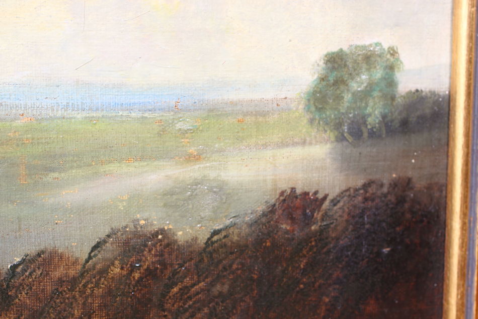 Landscape with waterfowles / Oil Painting