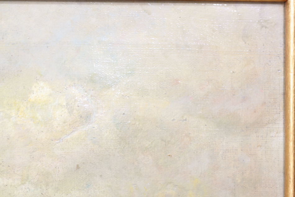 Landscape with waterfowles / Oil Painting