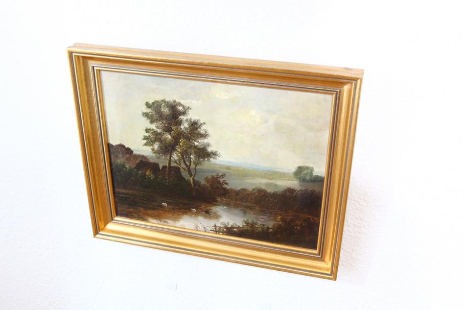 Landscape with waterfowles / Oil Painting