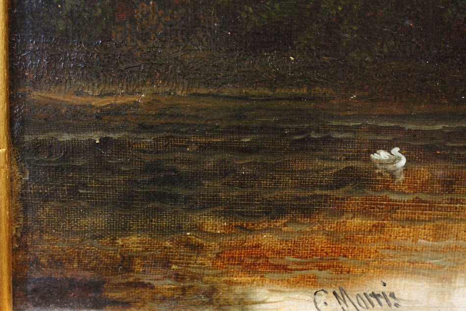 Landscape with waterfowles / Oil Painting