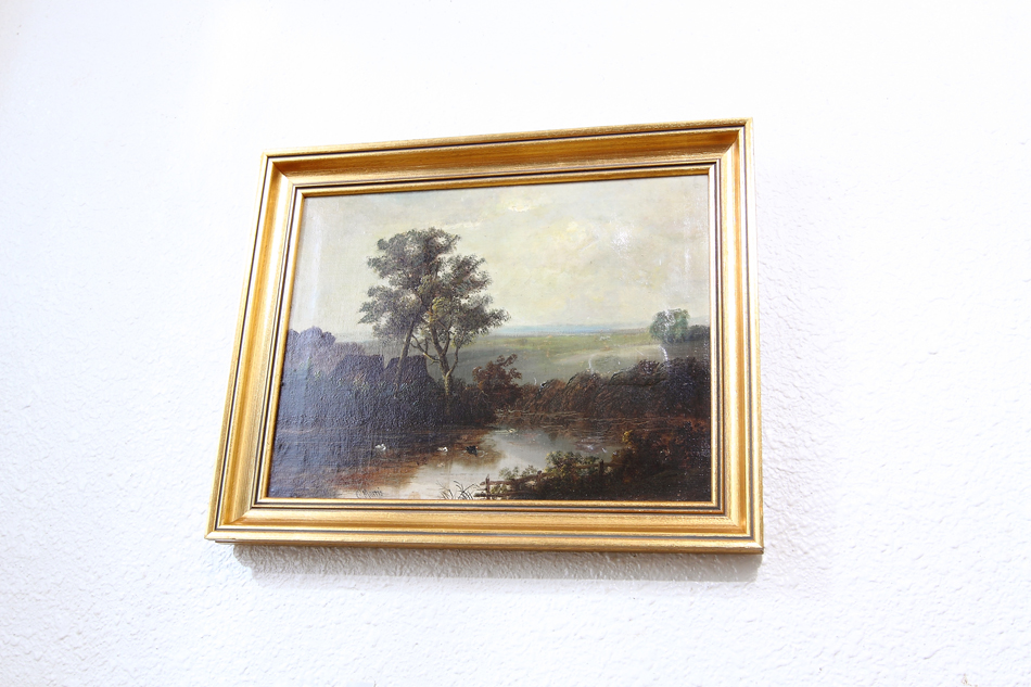 Landscape with waterfowles / Oil Painting