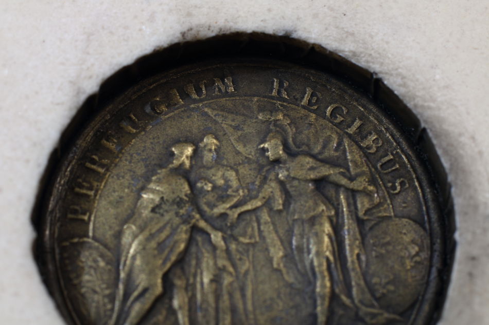 Bowl of Hygieia / plaque picture 