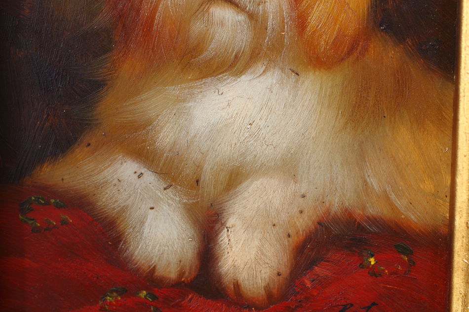 Sidney / Oil Painting