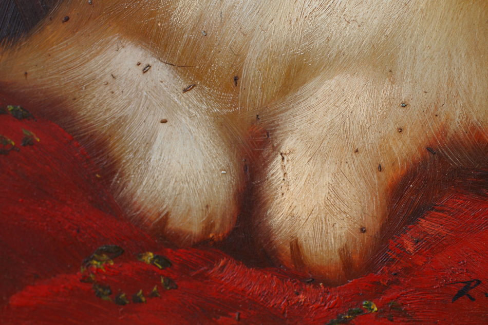 Sidney / Oil Painting