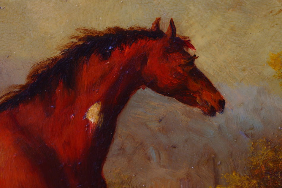 Horse in a Landscape / Art Print