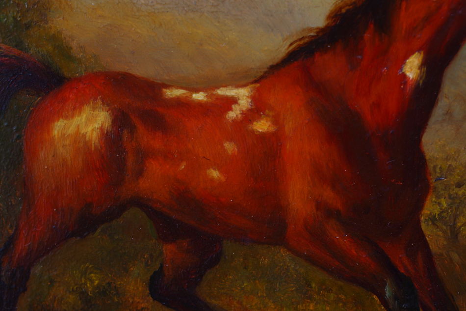 Horse in a Landscape / Art Print