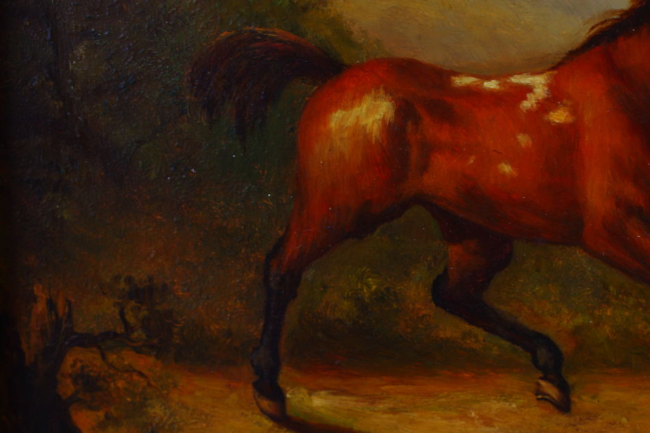 Horse in a Landscape / Art Print
