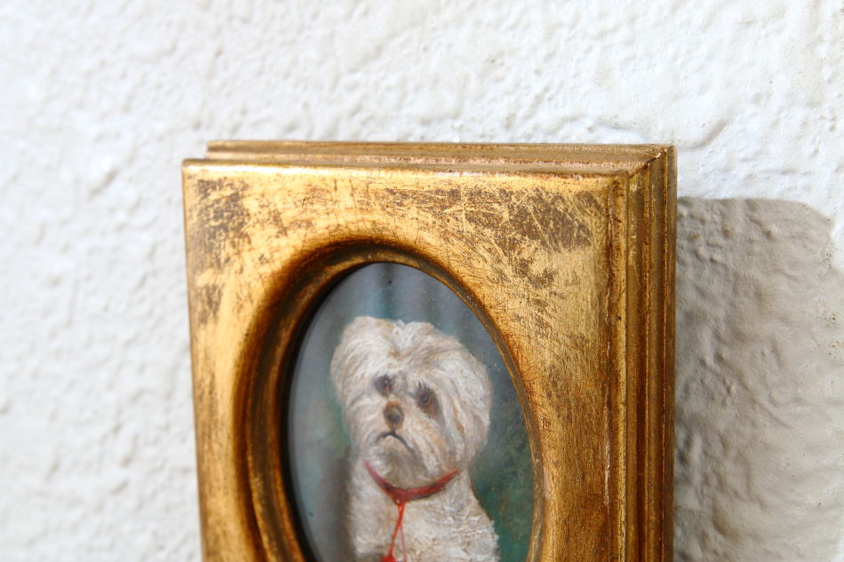 Portrait of a Maltese Terrier / Oil Painting