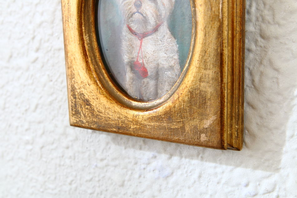 Portrait of a Maltese Terrier / Oil Painting