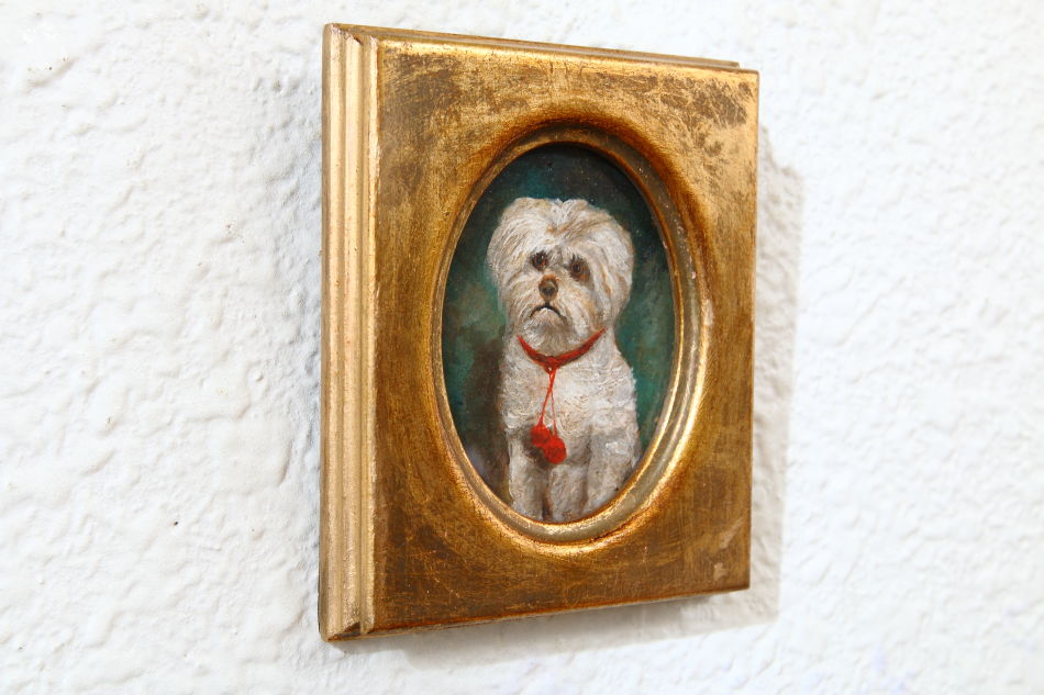 Portrait of a Maltese Terrier / Oil Painting