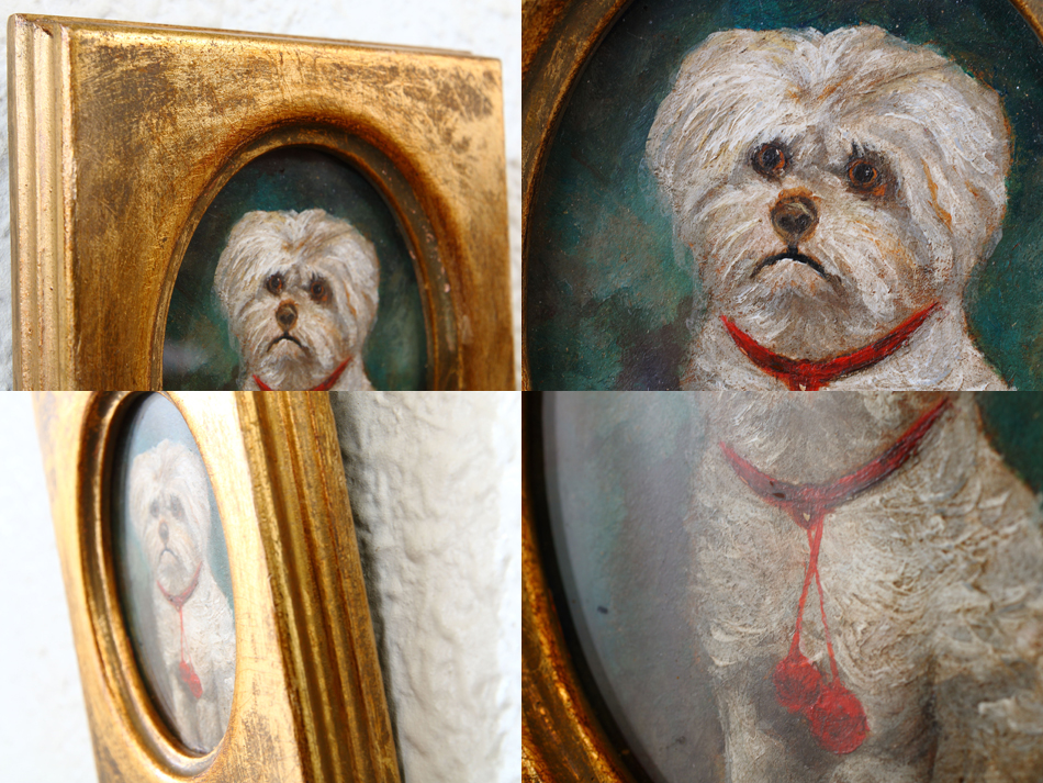 Portrait of a Maltese Terrier / Oil Painting