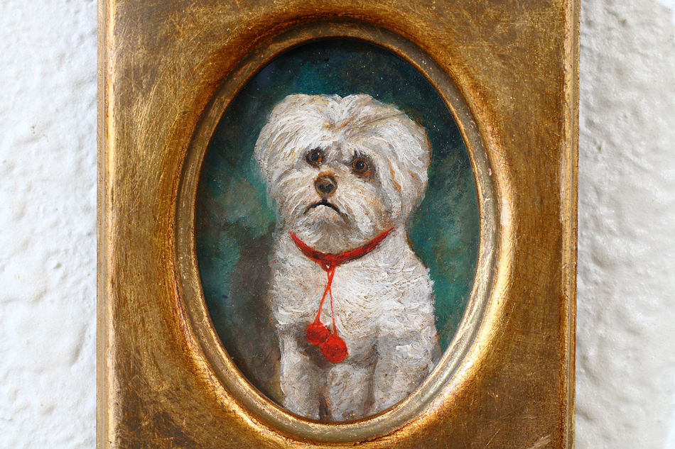 Portrait of a Maltese Terrier / Oil Painting