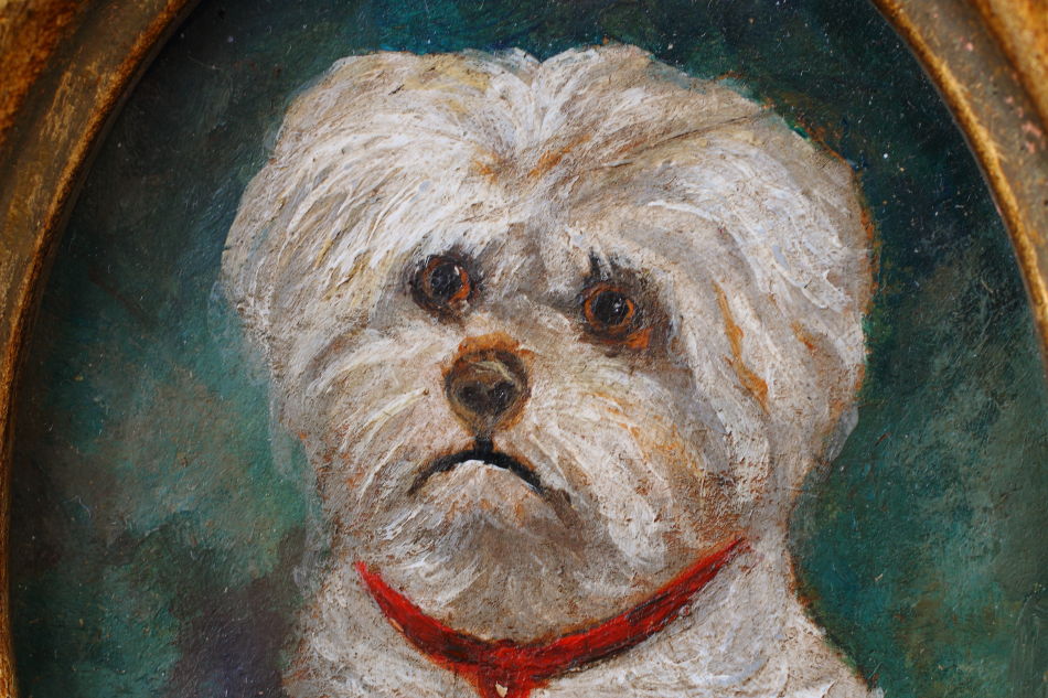 Portrait of a Maltese Terrier / Oil Painting