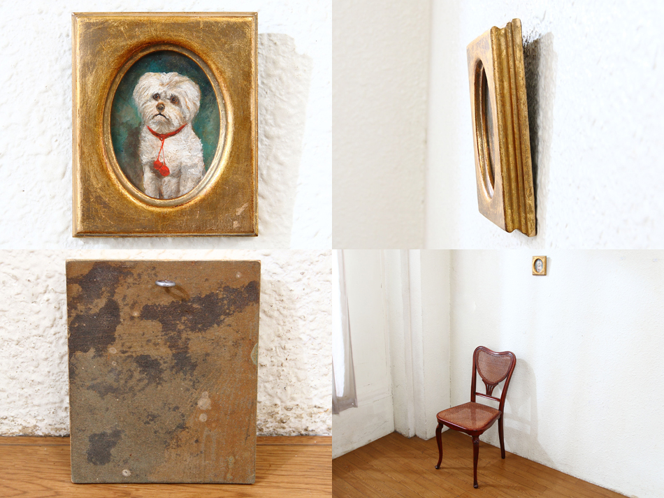 Portrait of a Maltese Terrier / Oil Painting