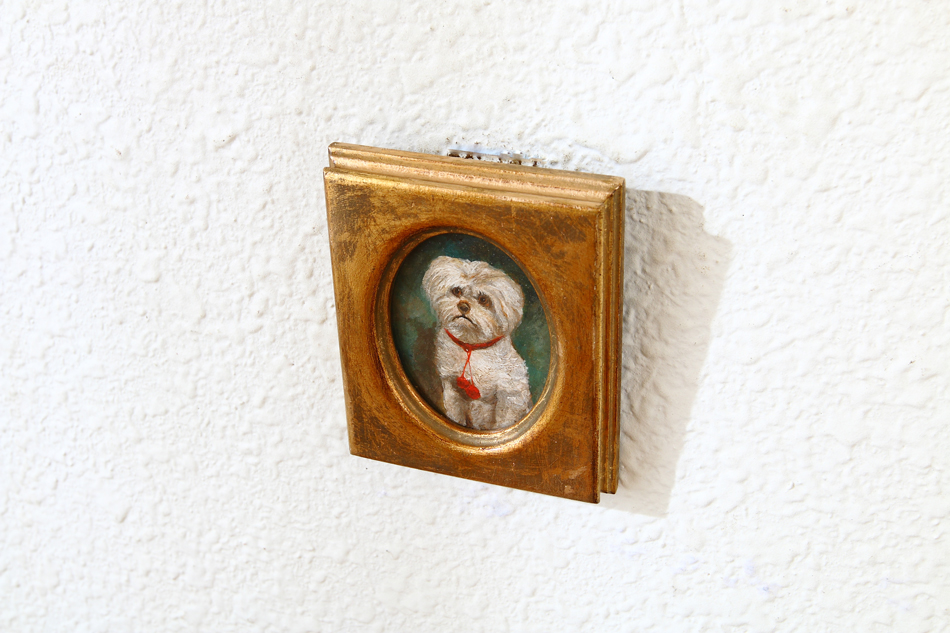Portrait of a Maltese Terrier / Oil Painting