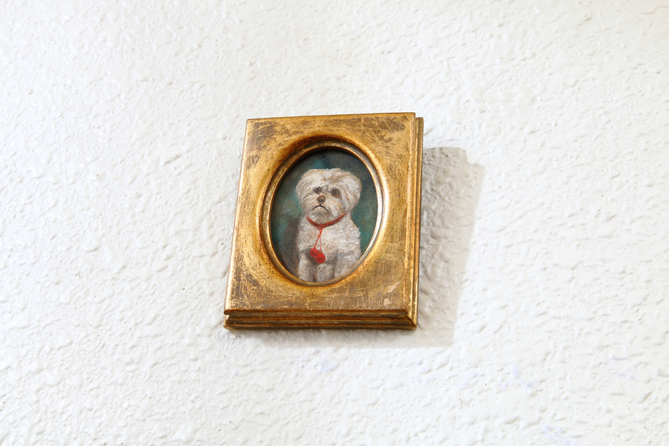 Portrait of a Maltese Terrier / Oil Painting