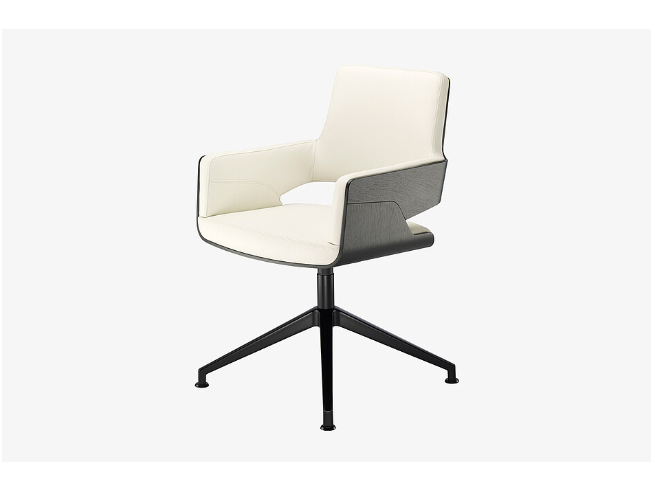 トーネットTHONET S 847 DW アームチェア